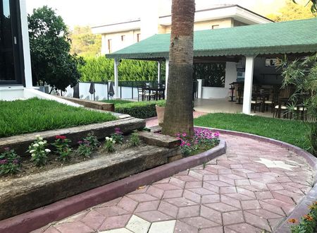 turkiye/antalya/kemer/forest-park-hotel-d142b5f0.jpg