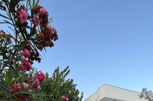 turkiye/antalya/kemer/foto9b509a8572ea24049b8b524b63c8e319a.jpg