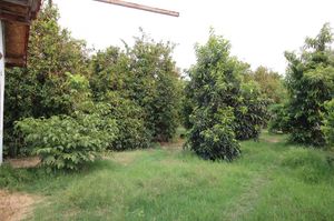 turkiye/antalya/kemer/gold-altinkaya-camping-apart_ab638865.jpg