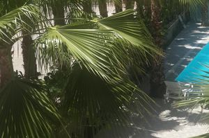 turkiye/antalya/kemer/grand-pam_445361e8.jpg