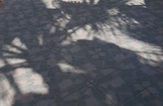 turkiye/antalya/kemer/grand-pam_667e62af.jpg