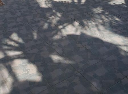 turkiye/antalya/kemer/grand-pam_667e62af.jpg