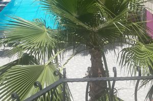 turkiye/antalya/kemer/grand-pam_a468d5d4.jpg