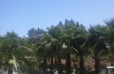 turkiye/antalya/kemer/grand-pam_db047249.jpg