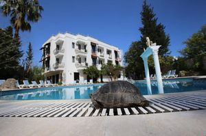 turkiye/antalya/kemer/green-valley-boutique-hotel_d494ec3b.jpg