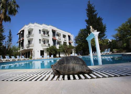turkiye/antalya/kemer/green-valley-boutique-hotel_d494ec3b.jpg
