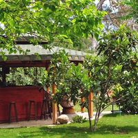 Argos Çıralı Hobbit Evi