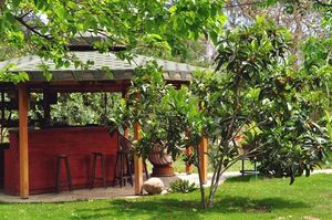 turkiye/antalya/kemer/hobbit-evi-1373940118.jpg