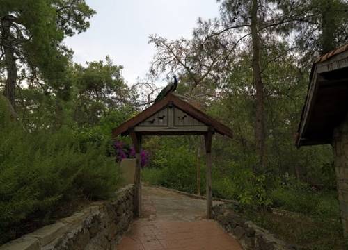 turkiye/antalya/kemer/holiday-area-eco-dream-club-farm-resort-1142217.jpg