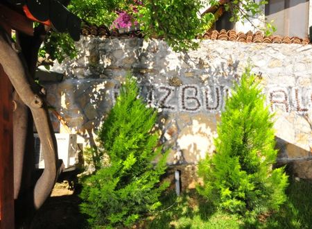 turkiye/antalya/kemer/ikiz-pansiyon-1533529.jpg