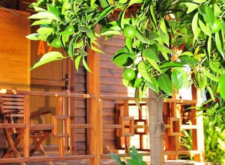 turkiye/antalya/kemer/ikiz-pansiyon-713146910.jpg