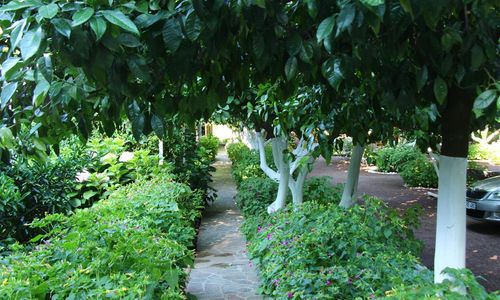 turkiye/antalya/kemer/izci-apart-hotel-a88e2c25.jpg