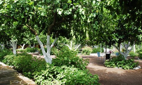 turkiye/antalya/kemer/izci-apart_bd1116b5.jpg