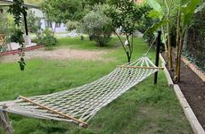 turkiye/antalya/kemer/kekik_4f4c9e02.jpg