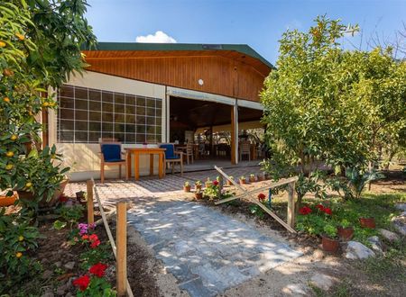 turkiye/antalya/kemer/likya-yanartas-bungalows-0061f0c7.jpg