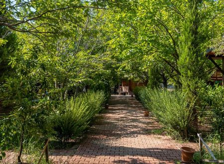 turkiye/antalya/kemer/likya-yanartas-bungalows-2cb493e6.jpg