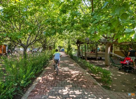 turkiye/antalya/kemer/likya-yanartas-bungalows-5f5fb7e5.jpg