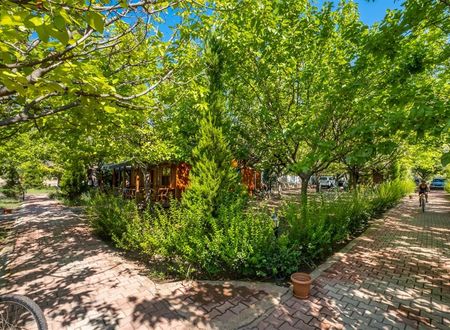 turkiye/antalya/kemer/likya-yanartas-bungalows-9347cc03.jpg
