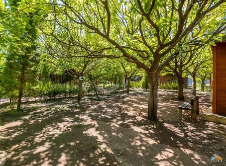 turkiye/antalya/kemer/likya-yanartas-bungalows-a60af899.jpg