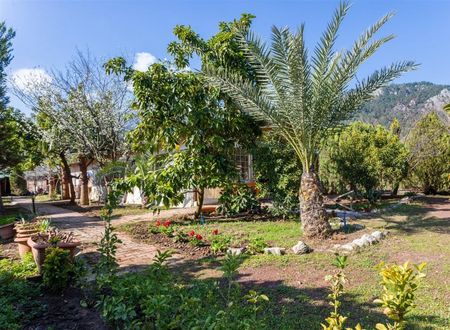 turkiye/antalya/kemer/likya-yanartas-bungalows-d816c50d.jpg