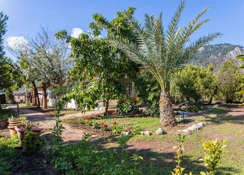 turkiye/antalya/kemer/likya-yanartas-bungalows-d816c50d.jpg