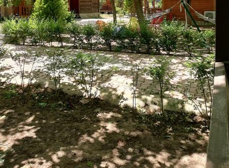 turkiye/antalya/kemer/likya-yanartas-bungalows-daab64de.jpg