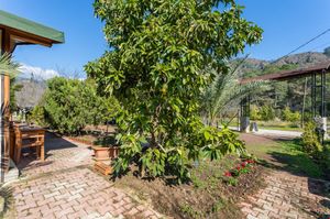 turkiye/antalya/kemer/likya-yanartas-bungalows_7017e730.jpg