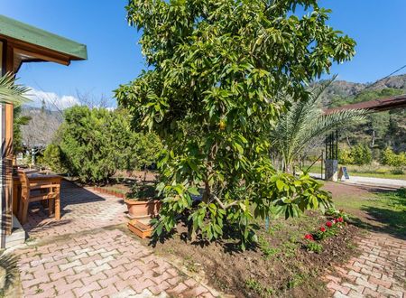 turkiye/antalya/kemer/likya-yanartas-bungalows_7017e730.jpg