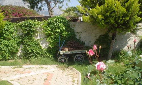 turkiye/antalya/kemer/minta-apart-hotel-804878.jpg