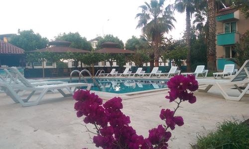 turkiye/antalya/kemer/more-beach-hotel-679a4f74.jpeg