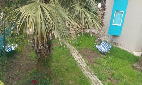 turkiye/antalya/kemer/more-beach-hotel_d34dbb11.jpeg