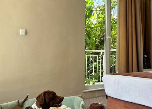 turkiye/antalya/kemer/moy-beldibi-hotel_ceef4f7b.jpg