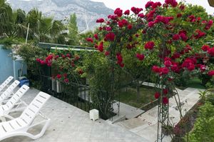 turkiye/antalya/kemer/navy-blue-stars-hotel-1663592.jpg