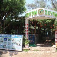 Olympos Zeytin