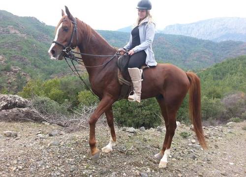 turkiye/antalya/kemer/oranj-ranch-hotel_1e1b435d.jpg