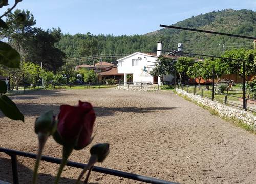 turkiye/antalya/kemer/oranj-ranch-hotel_a2ce3520.jpg