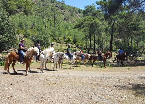 turkiye/antalya/kemer/oranj-ranch-hotel_a547e6f3.jpg