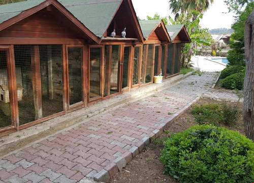 turkiye/antalya/kemer/oranj-ranch-hotel_e8974a82.jpg