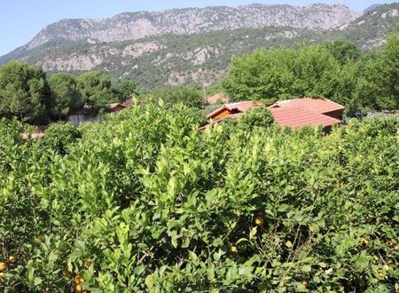 turkiye/antalya/kemer/plaj-hotel_dd8e709f.jpg