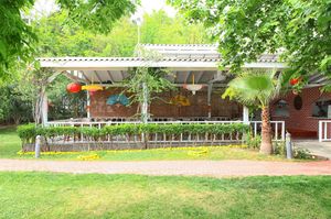 turkiye/antalya/kemer/queen-s-park-le-jardin-3791a202.jpg