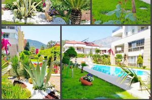 turkiye/antalya/kemer/ray-homes_42083fa5.jpg
