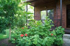 turkiye/antalya/kemer/serenity-bungalows_b70fcbaa.jpg