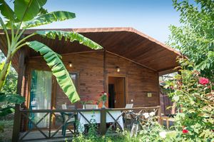 turkiye/antalya/kemer/serenity-bungalows_f534e1b6.jpg