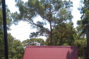 turkiye/antalya/kemer/seyirtepe-bungalov_b0f8d8c8.jpg