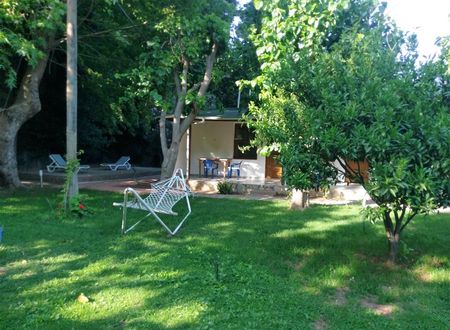 turkiye/antalya/kemer/simge-pansiyon-643-8f47c7ff.jpg