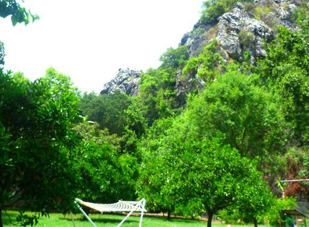 turkiye/antalya/kemer/simge-pansiyon_58800cbf.jpg