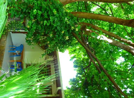 turkiye/antalya/kemer/simge-pansiyon_868dede1.jpg