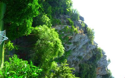 Simge Pansiyon · 4