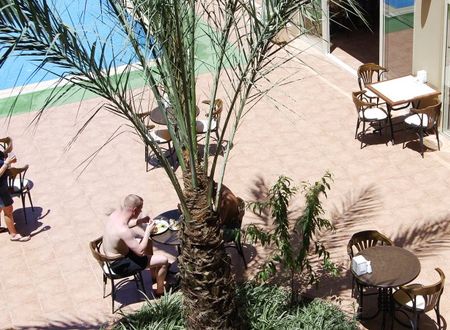 turkiye/antalya/kemer/starberry-hotel-628558.jpg