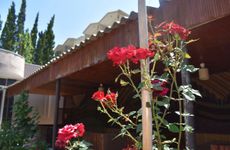 turkiye/antalya/kemer/terko_3ccfdc7b.jpg